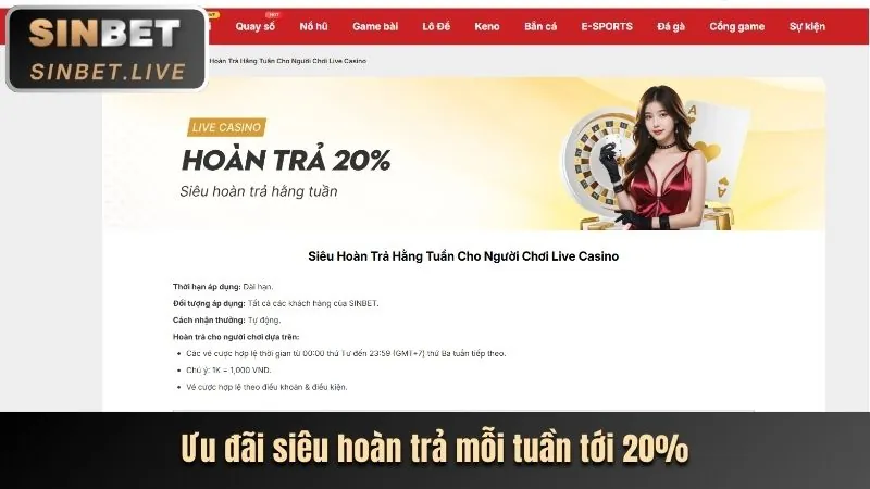 Tổng quan các cấp độ VIP và lợi ích tại juun88 casino